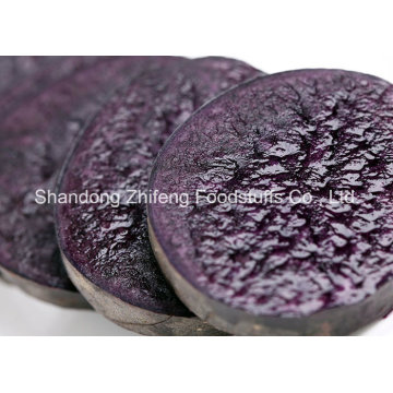 Organic Purple Yam with Exporting Quality